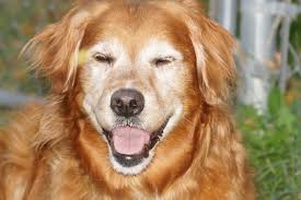 Had Rue out last night … she insists sitting at the bar!!!