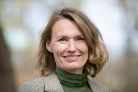 Økonomi, Næringsliv