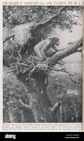 Neanderthal Man High Resolution Stock Photography and Images - Alamy