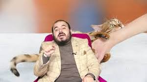 Ruyada Kedi Isirmasi Gormek Nedir Ruya Tabiri Ruyada Kedi Isirmasi Gormek Ne Anlama Gelir