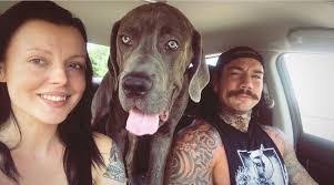 Erik Stephan's Instagram, Twitter & Facebook