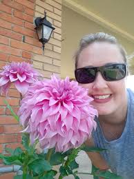 Giant poted dahlia "SP GARGI "