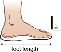 How to convert 38 inches to feet to convert 38 in to feet you have to multiply 38 x 0.0833333, since 1 in is 0.0833333 fts. Shoe Size Conversion