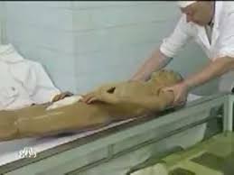 Щусева) был возведён ко дню похорон владимира ильича ульянова (ленина) (27 января 1924), имел форму куба. Mavzolej Kak Kupayut Lenina Nervnyh Prosim Ne Smotret Youtube