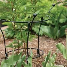 Powder Coated Two Rings And Three Legs Peony Cage For Young Peony Garden Plant Supports Planting Peonies Growing Peonies