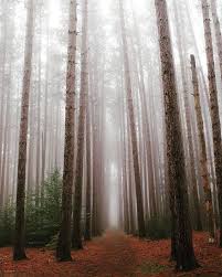 Maybe you would like to learn more about one of these? Facebook