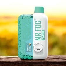 SMOKERS HUT | VAPE SHOP & SMOKE STORE | FOREST LAWN CALGARY - Reviews, Photos & Phone Number (2026) - Vape Shop in Calgary, Division No. 6 - Wheree