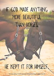 900+ Horse Quotes, Jokes & Memes ideas in 2021 | horse quotes, equestrian  quotes, equestrian