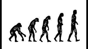 what is darwin s theory of evolution