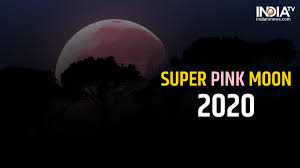 Why did names like 'pink moon' become a thing? Super Pink Moon 2020 The Biggest And Brightest Full Moon Of 2020 Coming In April Check Date Time Super News India Tv