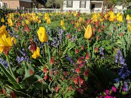 Please read my disclosure for more info.christmas is a festive season filled with celebration, merriment. Garden Inspiration From Colonial Wiliiamsburg