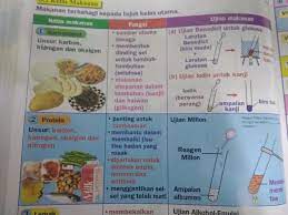 See more of sains tingkatan 2 semekar on facebook. Tingkatan 2 Bab 3 Brain Genius Mastery Mathematic Facebook
