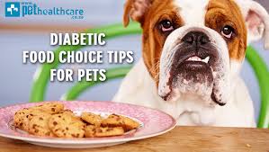Not only are there hundreds of different dog food brands and thousands of recipes out there, but all dog foods are not created equal. Diabetic Food Choice Tips For Pets Pet Health Carediabetic Food Choice Tips For Pets
