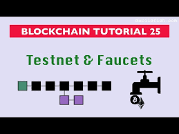 In the case of ethereum both addresses can be used, but you can't transfer ether from rinkeby to the real network. Testnet All About Cryptocurrency Bitcoinwiki