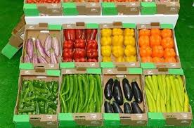Le President Tebboune Interdit L Importation Des Produits Agricoles Durant La Periode De Cueillette