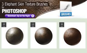 Gimp, photoshop, etc.) find the skin you want to use and open it in vtfedit. 3 Photoshop Brushes For Painting Elephant Skin By Pixelstains On Deviantart