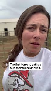 The saga continues. #horses #westernlife #ranchlife #rodeo #horsehumor  #devinoutwest