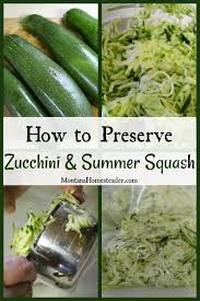 Hands down, the easiest and fastest way how to shred zucchini. How To Preserve Zucchini And Summer Squash