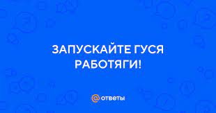 Запускаем гуся-работягу: важные особенности и значения этого процесса