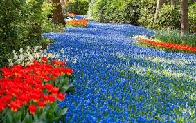 Why Spring is Really Three Seasons
