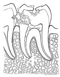 Printable Dental Coloring Pages Coloring Pages Dental Fun Kids Dental Health