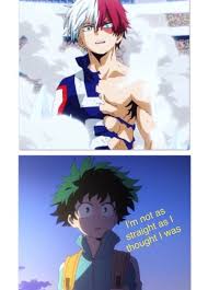 The Holy Trio My Hero My Hero Academia Manga My Hero Academia Shouto