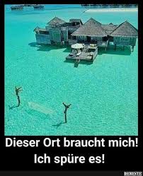 Pin Auf Funny