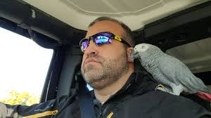 Lost dog near Grandview Loop in Wenatchee