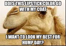 Guess what day it is painted on one side with a camel painted on the other. Pin On Hump Day Camels