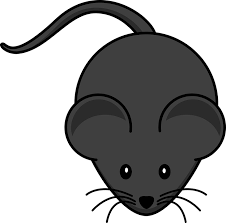 Download computer mouse clipart and use any clip art,coloring,png graphics in your website, document or presentation. Mouse Rodent Rat Free Vector Graphic On Pixabay