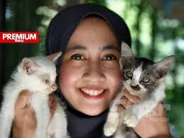 Seperti kucing terbiar lain yang diambil untuk dipelihara, snowy telah dihantar ke doktor veterinar untuk dikasi (neuter) dan dibersihkan. Video Syurga Kucing Jalanan