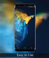 Animal wallpapers in ultra hd or 4k. Cool Animals Wallpapers For Android Apk Download