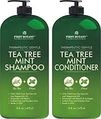 Benefits of tea tree oil for hair growth: Amazon Com Tea Tree Mint Shampoo And Conditioner This Set Contains Pure Tea Tree Oil Peppermint Oil Fights Hair Loss Promotes Hair Growth Fights Dandruff Lice And Itchy Scalp