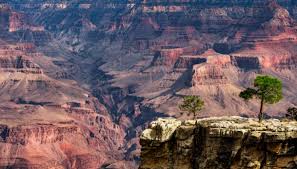 Yukkurina porn - this one has been with a few partners - experienced in pleasure - see her in action