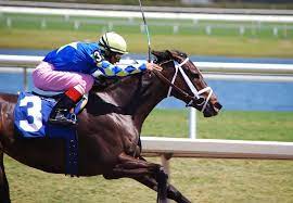 How Much Do Jockeys Get Paid Bookie Sign Up Offers