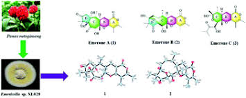 In recent years, researchers from various scientific disciplines such as atomic, optical, and condensed matter physics, physical chemistry, and quantum science have started working together to explore many emergent research topics related to cold molecules. Emerones A C Three Novel Merosesquiterpenoids With Unprecedented Skeletons From Emericella Sp Xl029 Organic Biomolecular Chemistry X Mol
