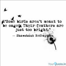 Isn't she a little too good to be true? Iweky Shawshank Redemption Quotes Some Birds Arent Meant To Be Caged