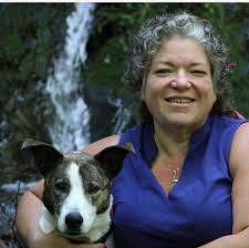 Kim Wilson Pet Care & Training