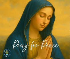 Well before the coronavirus began, Cathy Loh, director of the Office of  Marriage, Family Life, Faith Formation and Youth Ministry of the Diocese of  Palm Beach, was seeking to fill the role