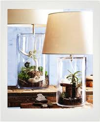 Share And Get A 10 Off Coupon Code Classic Terrarium Glass Table Lamp Glass Table Lamp Fillable Lamp Lamp