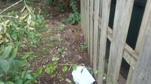 Address, phone, reviews and other information. Cowleys Pest Services Pests We Treat Case Studies Page 4