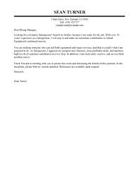 Cover Letter It Entry Level On Sale