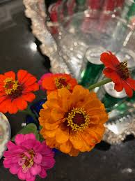 Image result for Lintonia