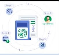 Graphical Abstract Design Services To Improve Research ...
