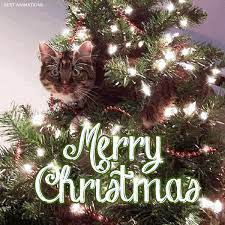 Merry Christmas Gif Funny Merry Christmas Cute Funny Animated Gifs