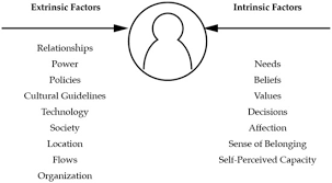 Sustainability Free Full Text Considering The Human Dimension To Make Sustainable Transitions Actionable Html