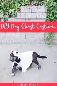 Diy Dog Ghost Costume Dog Ghost Costume Ghost Costume Diy Dog Stuff