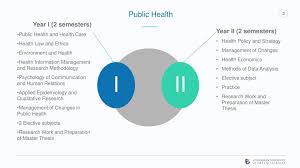 A young person with a social, mental or emotional health need may: Public Health Master Degree Program Ppt Download