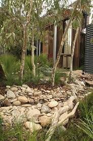 Is It Time To Reconsider Using Australian Natives Rain Garden Design Australian Garden Design Australian Garden