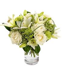 I fiori bianchi simboleggiano da sempre la purezza: Il Negozio Euroflora Consegna Composizioni E Omaggi Funebri A Domicilio In Tutta Biella In Giornata